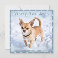 Cute Chihuahua Dog In Snow Pretty Snowflakes Holiday Card