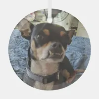 Personalized Doggie Photo  Glass Ornament