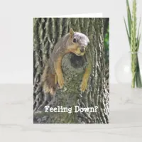 Feeling Down? Hang in There support Card