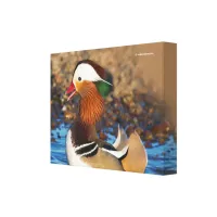 Beautiful Chatty Mandarin Duck at the Pond Canvas Print
