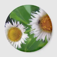 Bugs and White Flowers Magnet