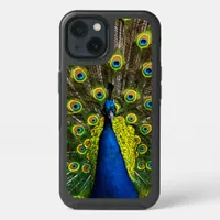 Colorful peacock iPhone 13 case