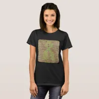 Lyme Disease Feelings Poster, Denied, Ignored, Rep T-Shirt