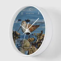 Stunning Dunlin Sandpiper Shorebird at the Beach Clock