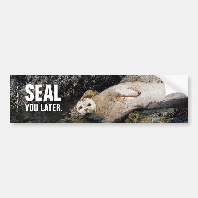 Funny (Harbor) Seal You Later Bumper Sticker