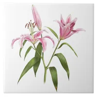 Pink Asiatic Stargazer Lily Botanical Art Ceramic Tile