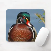 Beautiful Pensive Wood Duck in the Marsh Mouse Pad
