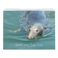 Seals of Cape Cod  Calendar