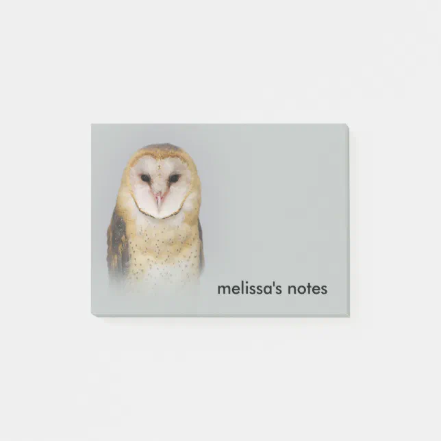 A Serene and Beautiful Barn Owl Post-it Notes