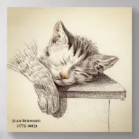 Sketch Of A Sleeping Cat by Jean Bernard  Acrylic Photo Tile