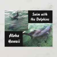 Dolphins of Hawaii Postcard