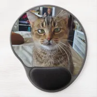 Personalized Pet Kitten Cat Photo   Gel Mouse Pad