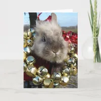 Grey Lionhead Bunny Christmas Holiday Card