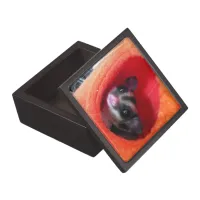 Sugar Glider in Orange Hanging Bed Jewelry Box