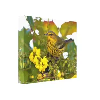 Cape May Warbler with Flowering Mahonia Canvas Print