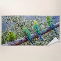 Birds - budgies beach towel