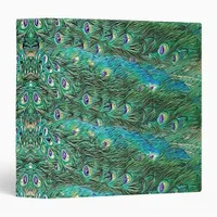 Peacock feathers, abstract - pattern in acrylic  3 ring binder