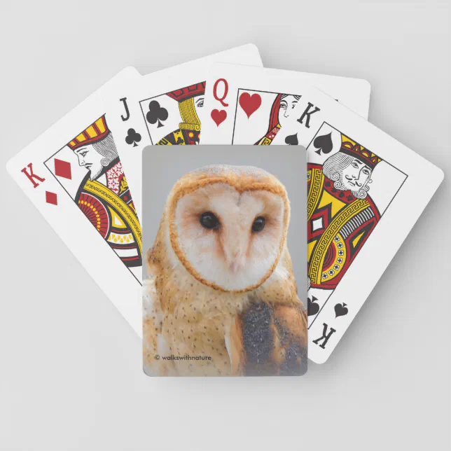 A Serene and Beautiful Barn Owl Poker Cards