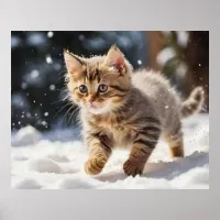 *~* Learning about Snow Kitty 5:4  Kitten Cat AP68 Poster