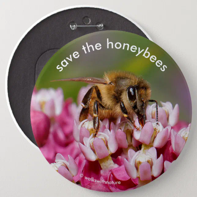 Save the Honeybees Pollinating Narrowleaf Milkweed Pinback Button