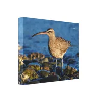 Whimbrel Shorebird at the Beach Canvas Print
