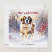 St Bernard Dog In Snow Merry Christmas Holiday Card