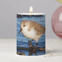 Cute Sanderling Sandpiper Shorebird Wanders Beach Pillar Candle