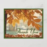 Autumn Fall Leaf Scenery Thank You Postcard