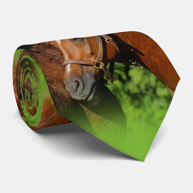 Two Beautiful Chestnut Horses in the Sun Tie