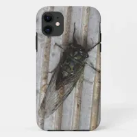 Cicada bug on your phone case