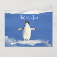 Funny Penguin Thank You Postcard