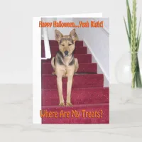 Halloween German Shepherd Dog Sad No Treats Holiday Card