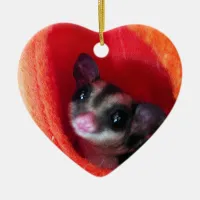 Sugar Glider in Orange Hanging Bed Ceramic Ornament