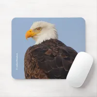 Beautiful Bald Eagle in a Tree Mouse Pad