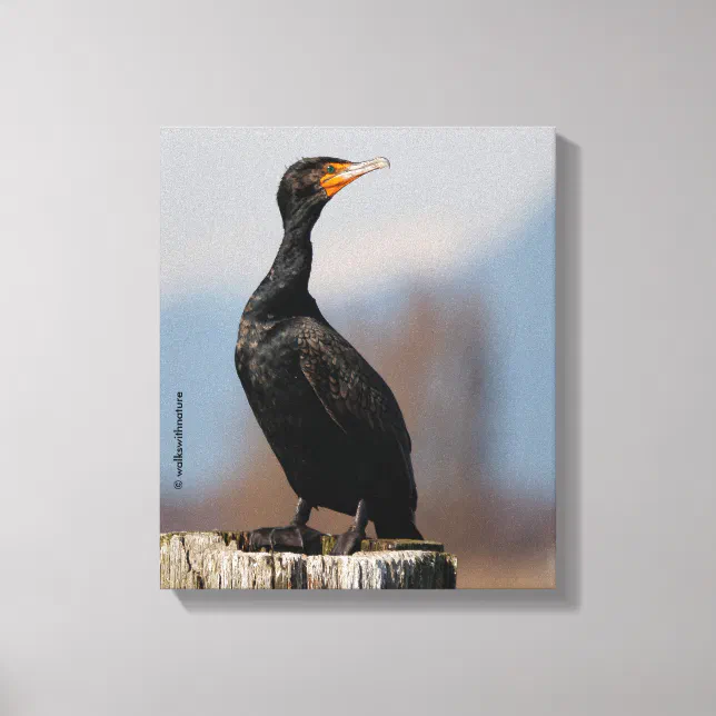 Profile of a Double-Crested Cormorant Canvas Print