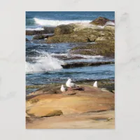 #7001 Beach Postcard