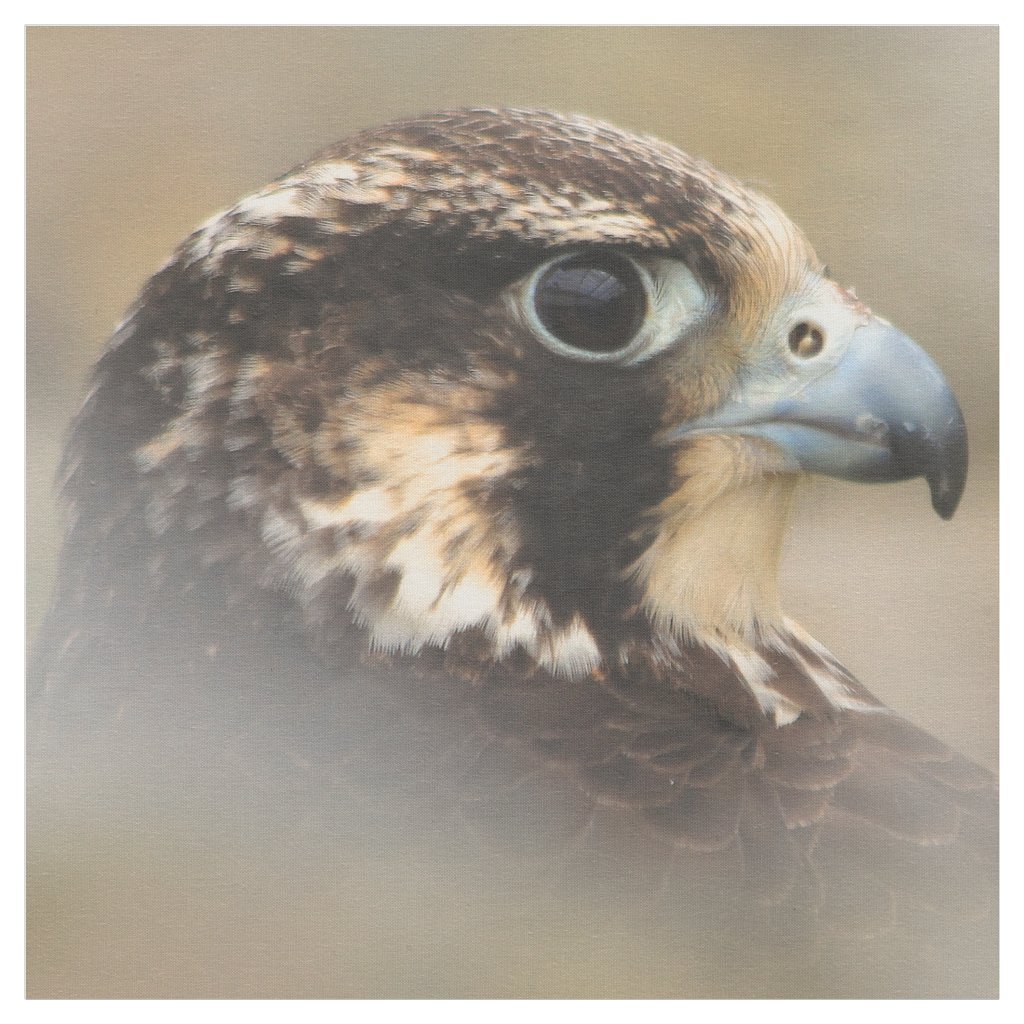 Vignetted Profile of a Peregrine Falcon Fabric