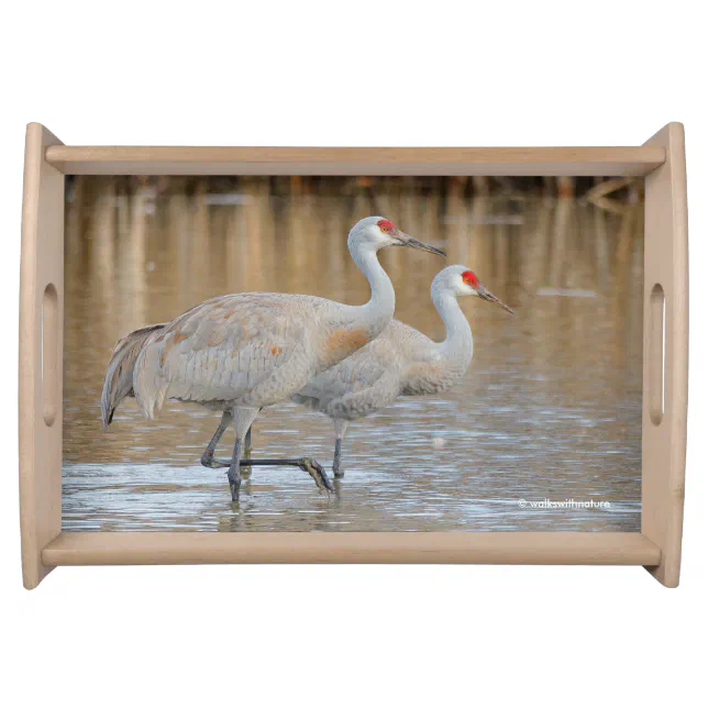 A Pair of Wading Greater Sandhill Cranes Serving Tray