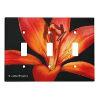 Beautiful Red Orange Asiatic Lily Gran Paradiso Light Switch Cover