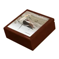 Stunning American Avocet Wading Bird at the Beach Gift Box