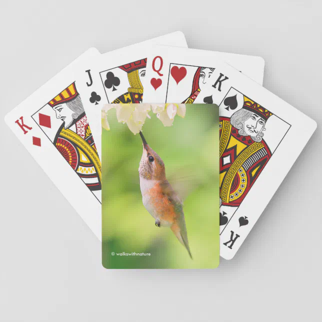 Rufous Hummingbird Sips Blueberry Blossom Nectar Poker Cards
