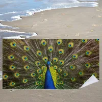 Colorful peacock beach towel