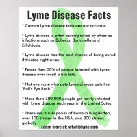 Lyme Disease Facts Educational Poster