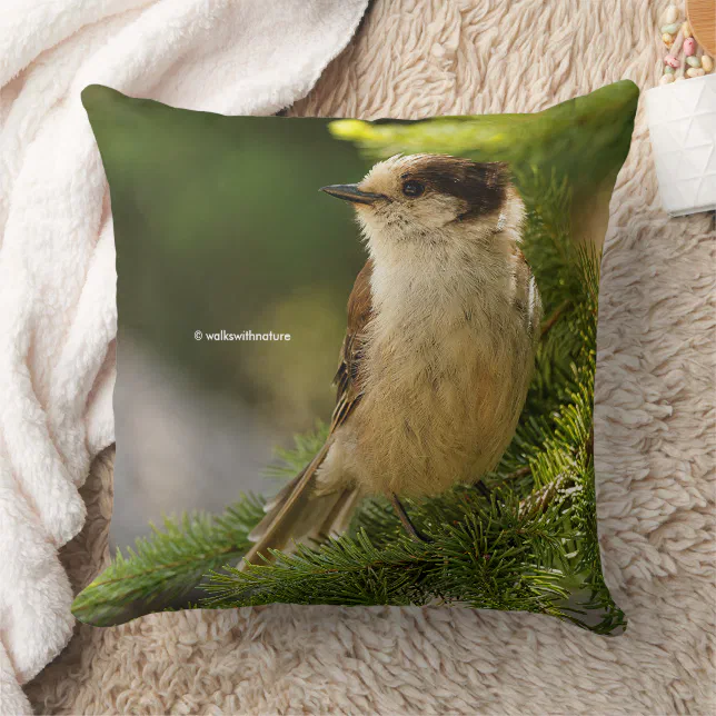 Cute Grey Jay Whiskeyjack Songbird in Conifer Tree Throw Pillow