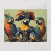 The Parrot Pirate Postcard