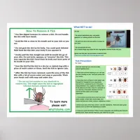 How To Remove a Tick Poster for Lyme Awareness