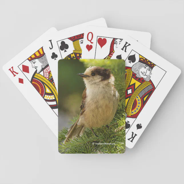 Profile of a Cute Grey Jay Whiskeyjack Poker Cards