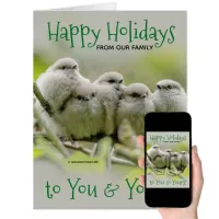 Heartwarming Songbirds Family Christmas Holiday