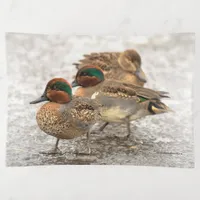 Cute Little Trio of Green-Winged Teals Trinket Tray