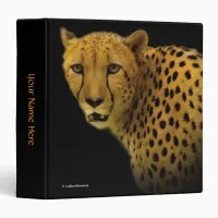 Trading Glances with a Magnificent Cheetah Binder